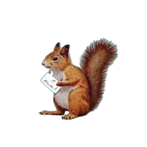 staff, animal, food, creature transparent PNG cut-out