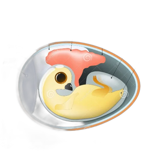 mask, jewelry, 3d render, concept art transparent PNG cut-out