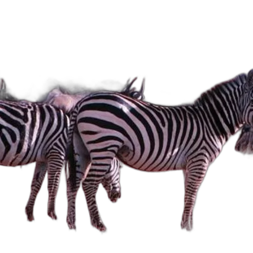 animal, creature, staff, weapon transparent PNG cut-out