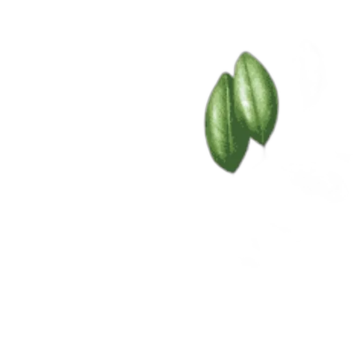 food, weapon, flower, hair transparent PNG cut-out