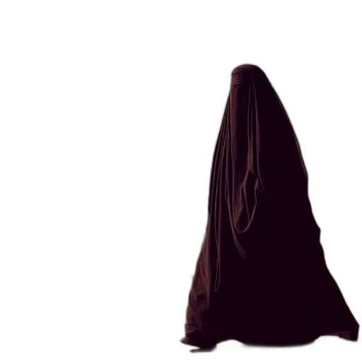 dress, jacket, mask, umbrella transparent PNG cut-out