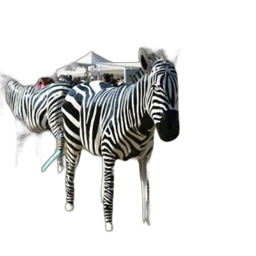 animal, jewelry, furniture, creature transparent PNG cut-out