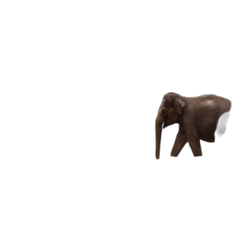 animal, creature, furniture, food transparent PNG cut-out