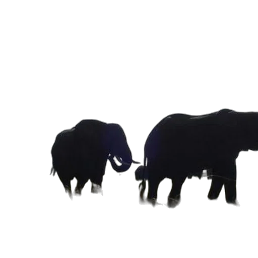 animal, 3d render, concept art, photorealistic transparent PNG cut-out