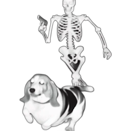 animal, creature, robot, food transparent PNG cut-out