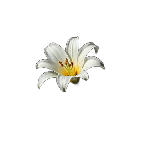 flower, jewelry, crown, staff transparent PNG cut-out
