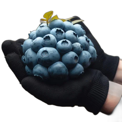 food, weapon, crown, jacket transparent PNG cut-out