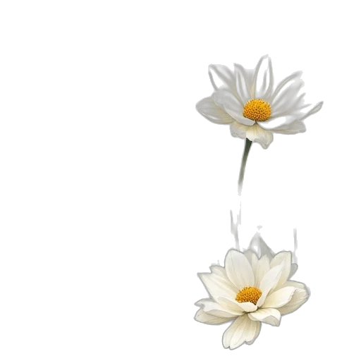 flower, crown, jewelry, weapon transparent PNG cut-out