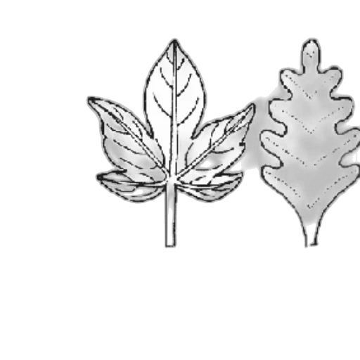 crown, jewelry, tree, staff transparent PNG cut-out