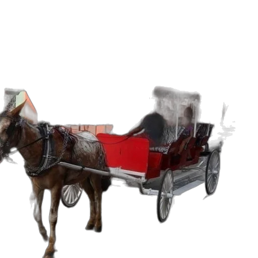 car, furniture, animal, robot transparent PNG cut-out