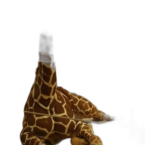 animal, staff, umbrella, shoes transparent PNG cut-out