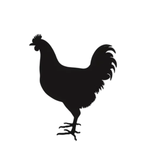animal, food, dress, weapon transparent PNG cut-out