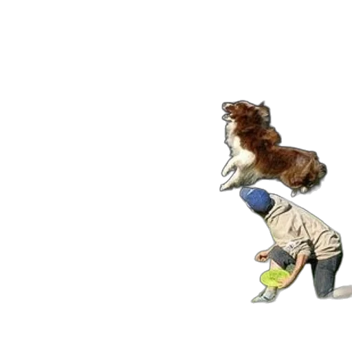 animal, creature, hair, staff transparent PNG cut-out