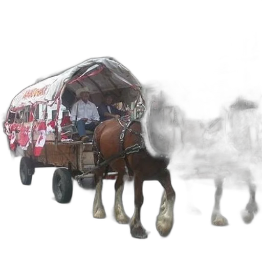 car, animal, robot, furniture transparent PNG cut-out