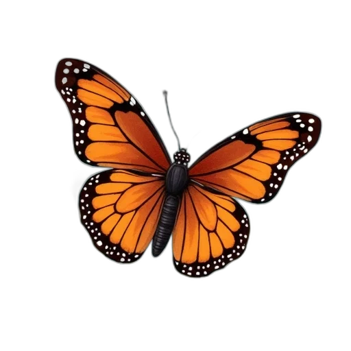 animal, jewelry, crown, creature transparent PNG cut-out