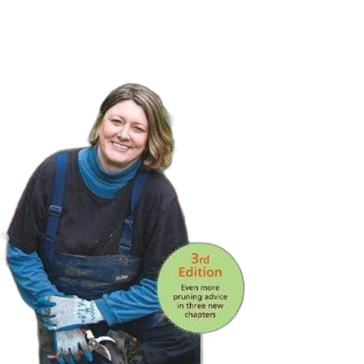 staff, jacket, book, cover transparent PNG cut-out