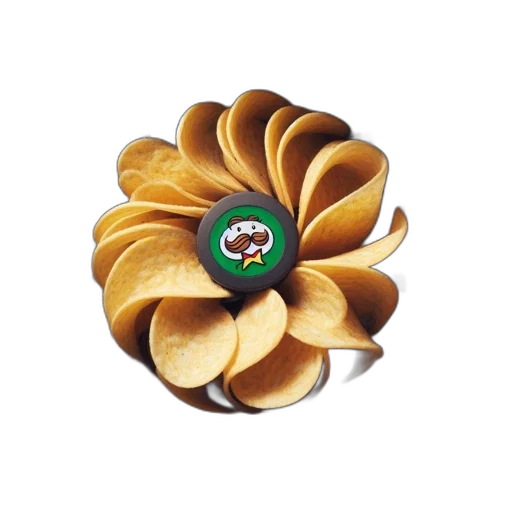flower, hat, jewelry, food transparent PNG cut-out