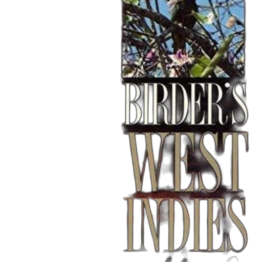 cover, birder, west, indies transparent PNG cut-out