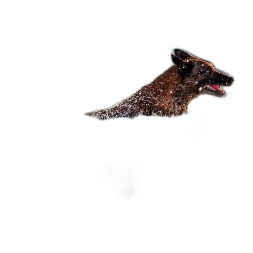 animal, creature, dragon, staff transparent PNG cut-out