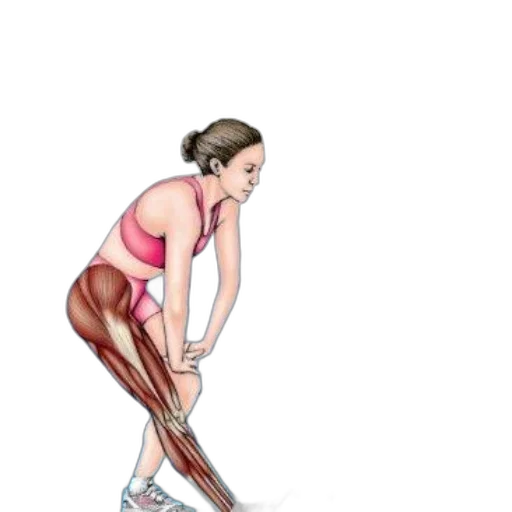 staff, cartoon, watercolor, photorealistic transparent PNG cut-out