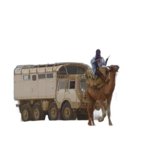 animal, weapon, staff, car transparent PNG cut-out