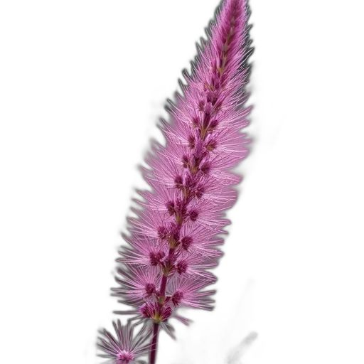 flower, staff, crown, hair transparent PNG cut-out