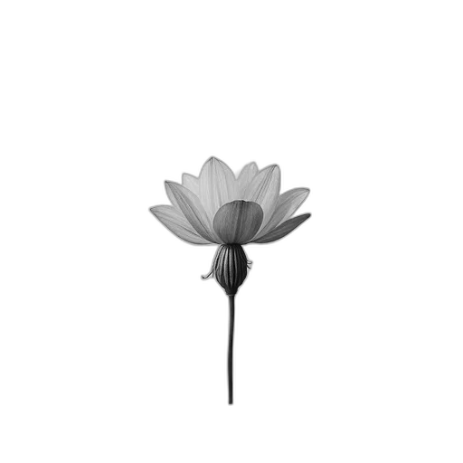 flower, jewelry, staff, crown transparent PNG cut-out