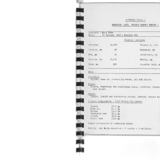 page, document, titled, appendix transparent PNG cut-out