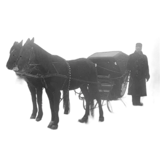 staff, animal, car, robot transparent PNG cut-out