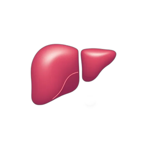 food, international, liver, congress transparent PNG cut-out