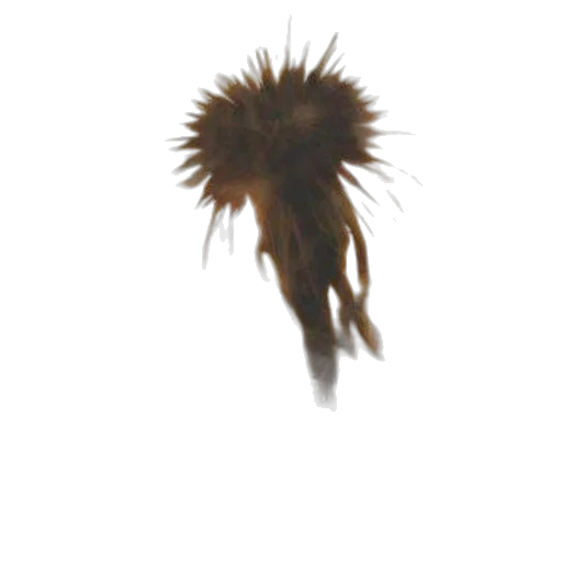 hair, creature, staff, animal transparent PNG cut-out