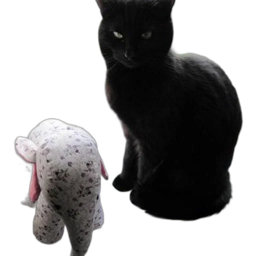 animal, creature, staff, 3d render transparent PNG cut-out