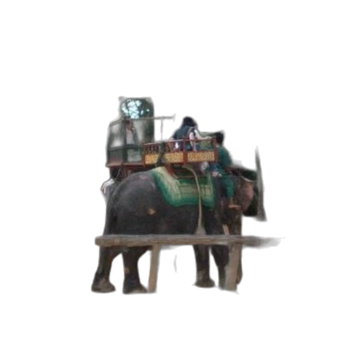 animal, furniture, creature, weapon transparent PNG cut-out