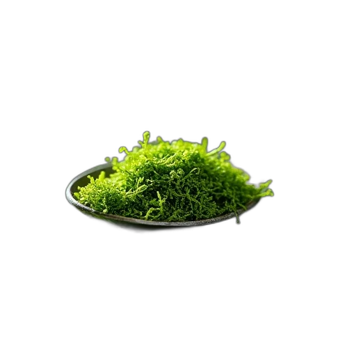 food, crown, hair, hat transparent PNG cut-out