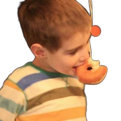 animal, creature, staff, face transparent PNG cut-out