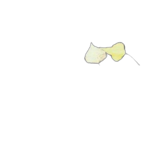 weapon, flower, umbrella, mask transparent PNG cut-out