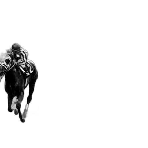 animal, creature, photorealistic, black transparent PNG cut-out