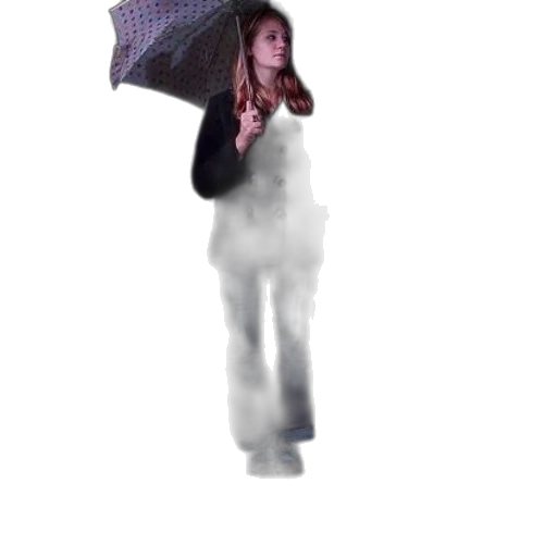 umbrella, jacket, staff, dress transparent PNG cut-out