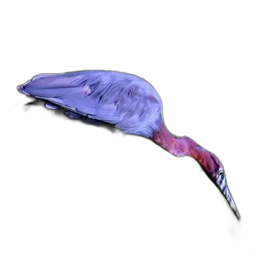 animal, creature, staff, weapon transparent PNG cut-out