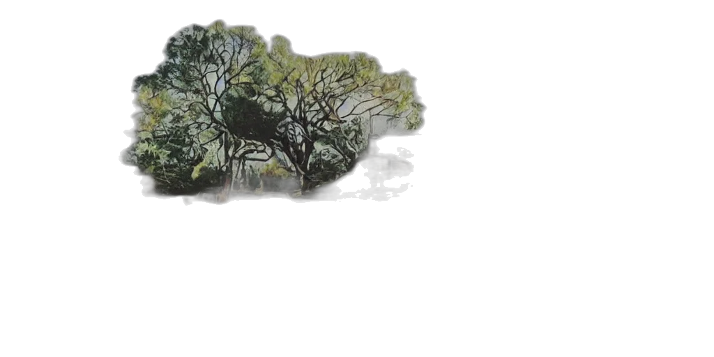 tree, crown, dragon, umbrella transparent PNG cut-out