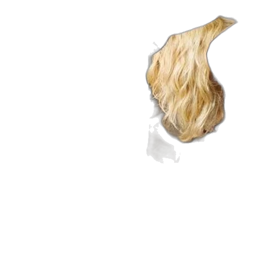 hair, food, crown, flower transparent PNG cut-out