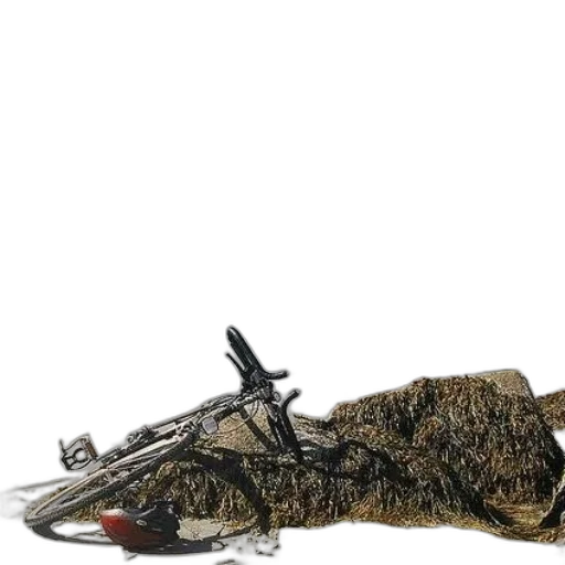 weapon, animal, jacket, sword transparent PNG cut-out