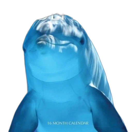 bottle, creature, animal, mask transparent PNG cut-out