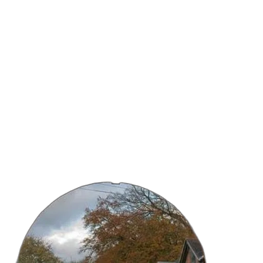 tree, umbrella, car, bottle transparent PNG cut-out