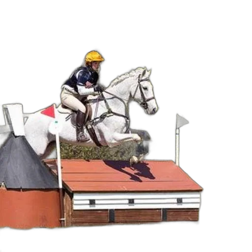 rider, white, horse, jumps transparent PNG cut-out
