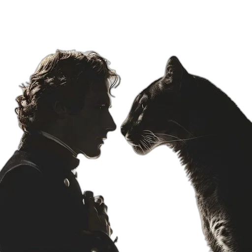animal, man, large, cat transparent PNG cut-out