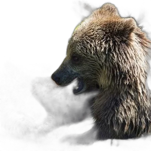 animal, creature, photorealistic, concept art transparent PNG cut-out