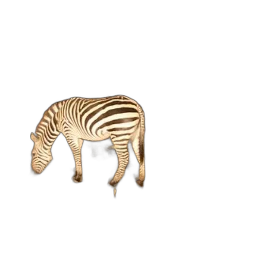 animal, creature, furniture, jewelry transparent PNG cut-out