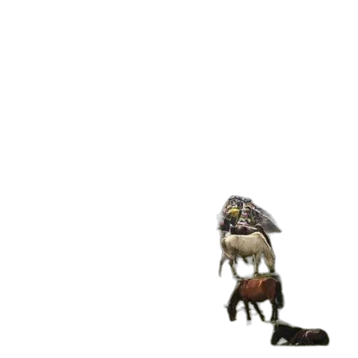 creature, animal, dragon, staff transparent PNG cut-out