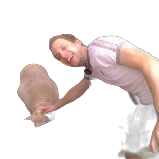 creature, staff, animal, shoes transparent PNG cut-out